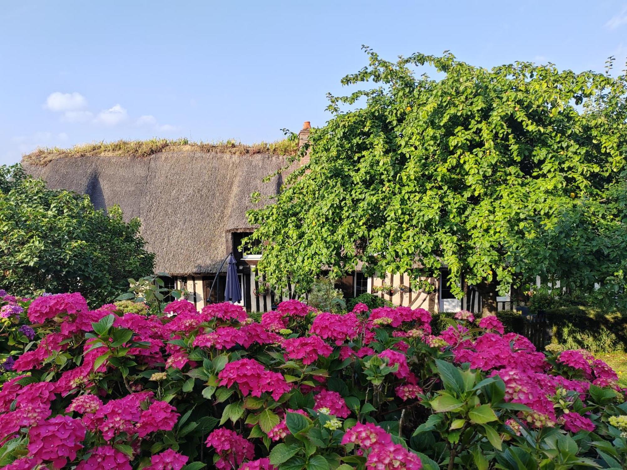 La Maraiquaise Villa Marais-Vernier Exterior photo
