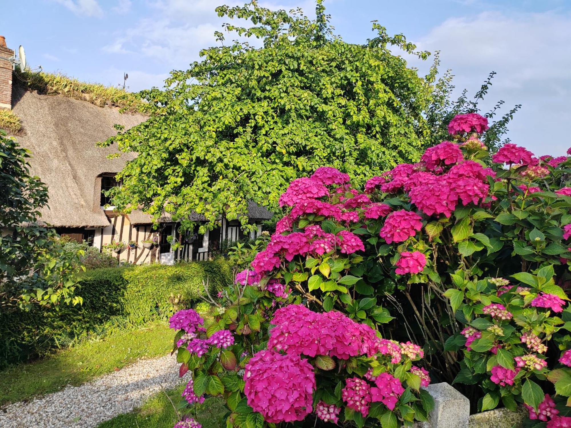 La Maraiquaise Villa Marais-Vernier Exterior photo